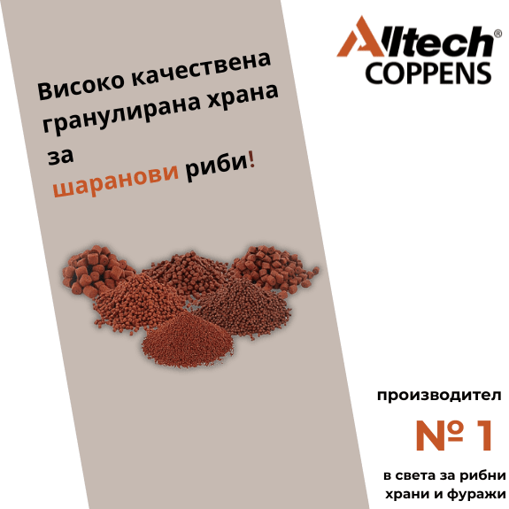 tablet accent banner 21