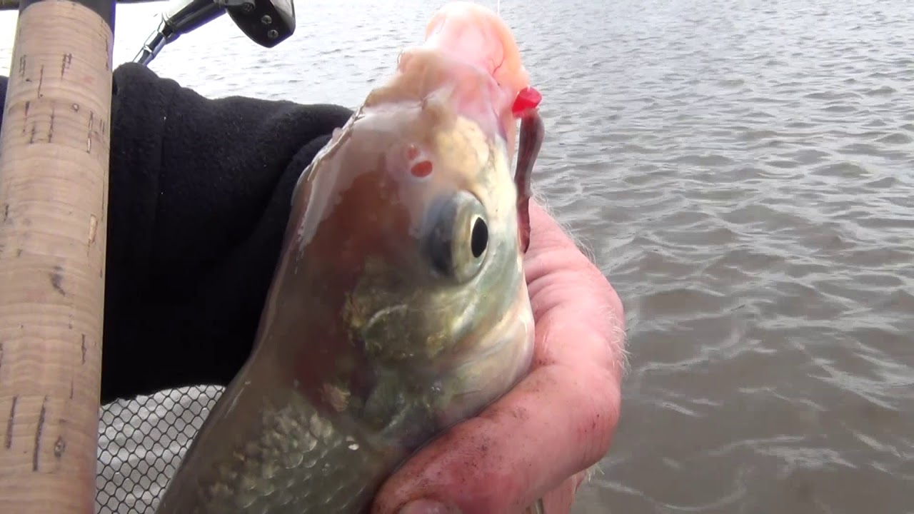 CRESTA Spaghetti Balls XL 6, 7, 8mm