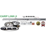 carp link-1000x1000